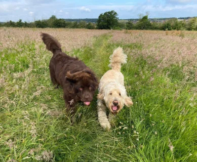 North Bristol group walk