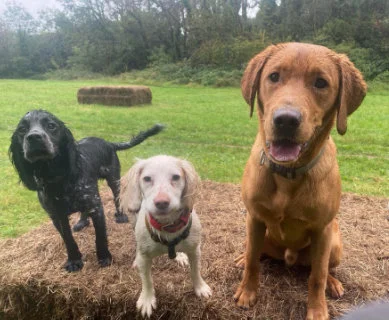 Treat time at Blaise Estate
